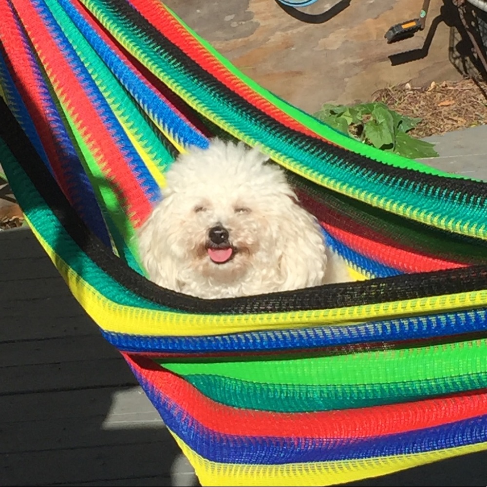 Meet your Posher, Brenda